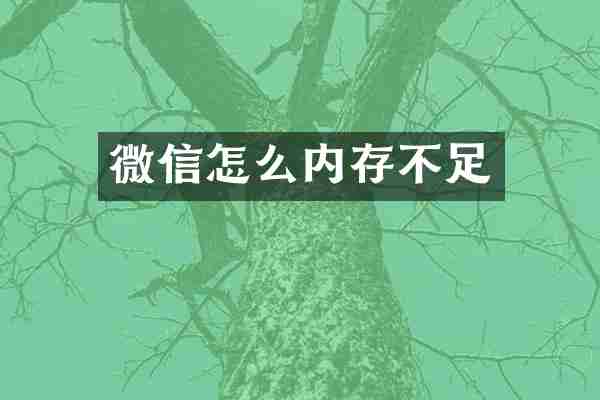 微信怎么内存不足