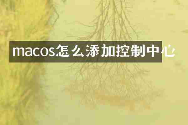 macos怎么添加控制中心