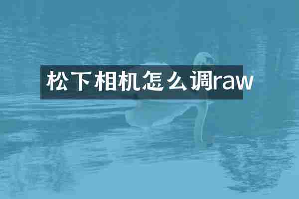 相机怎么调raw