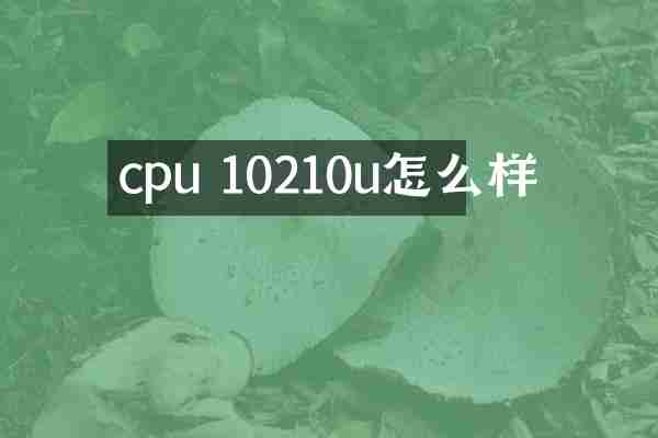 cpu 10210u怎么样