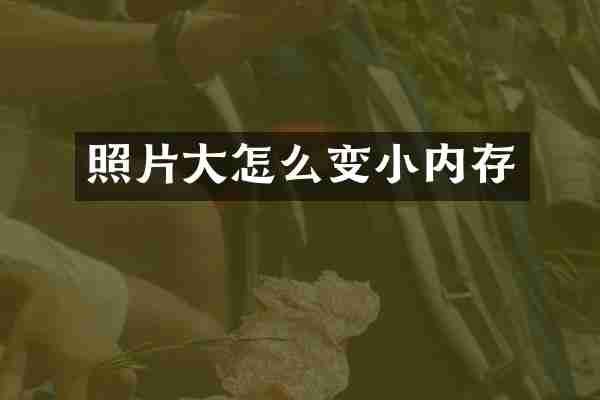 照片大怎么变小内存