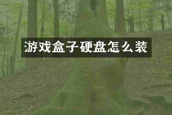 游戏盒子硬盘怎么装
