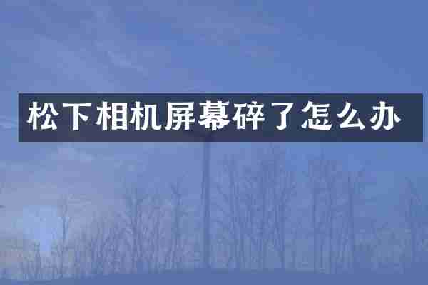 松下相机屏幕碎了怎么办