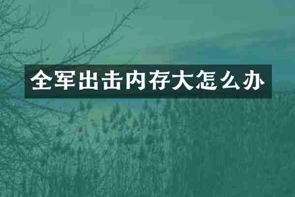 全军出击内存大怎么办