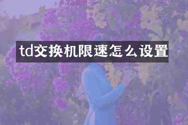 td交换机限速怎么设置