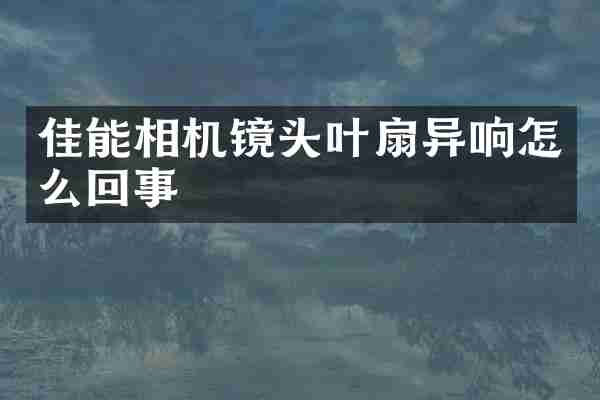 佳能相机镜头叶扇异响怎么回事