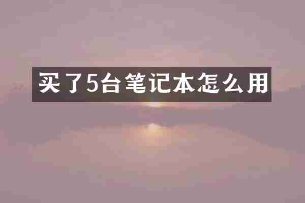买了5台笔记本怎么用