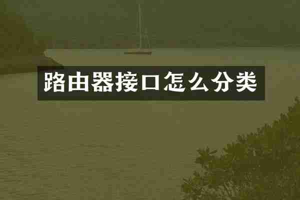 路由器接口怎么分类