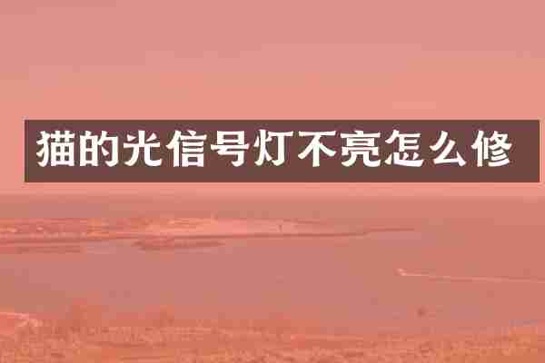 猫的光信号灯不亮怎么修