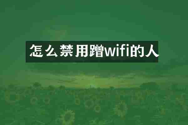 怎么禁用蹭wifi的人