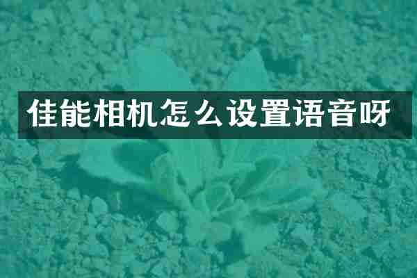 佳能相机怎么设置语音呀