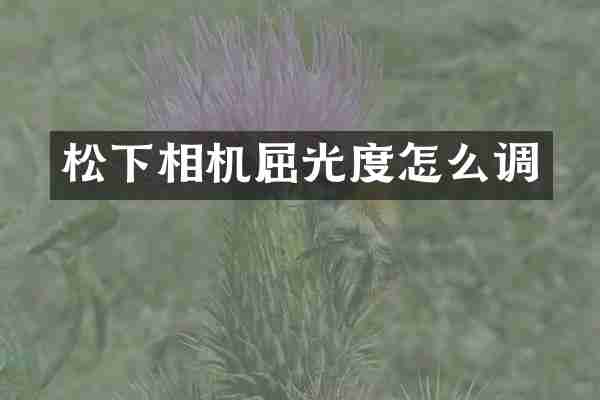 松下相机屈光度怎么调