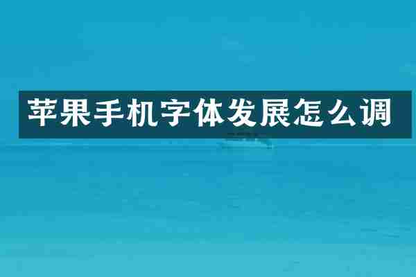 苹果手机字体发展怎么调
