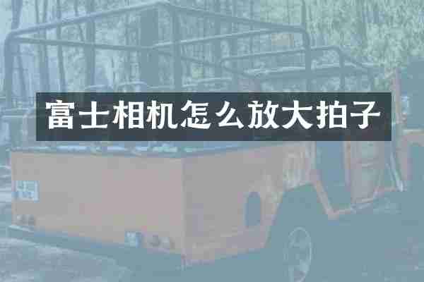 富士相机怎么放大拍子