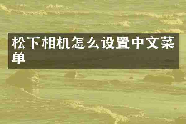 相机怎么设置中文菜单
