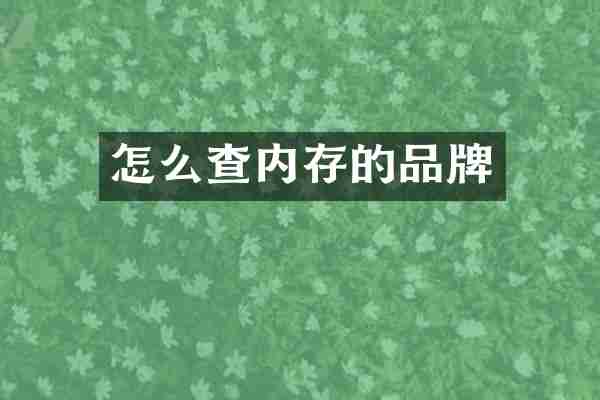 怎么查内存的品牌