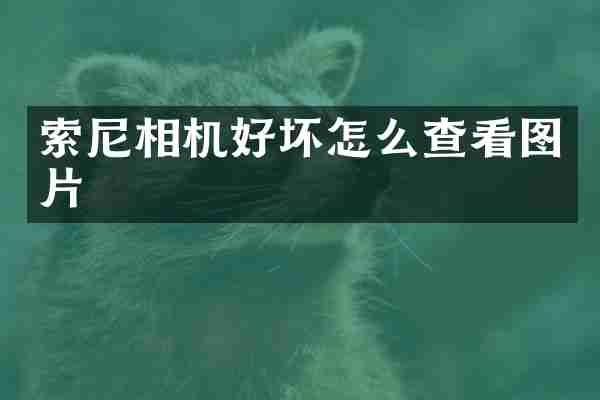 相机好坏怎么查看图片