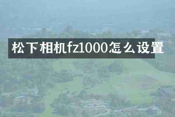 相机fz1000怎么设置
