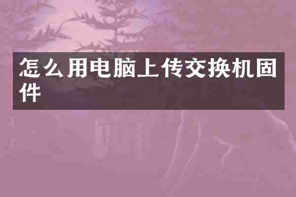 怎么用电脑上传交换机固件