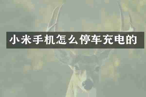 小米手机怎么停车充电的