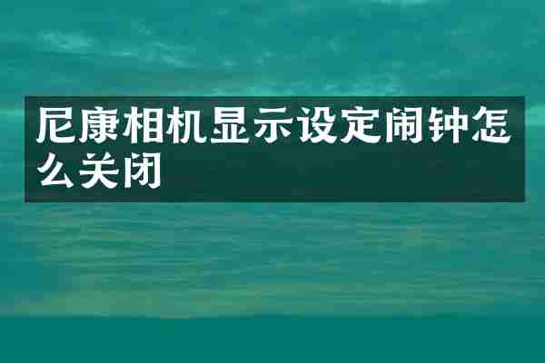 尼康相机显示设定闹钟怎么关闭
