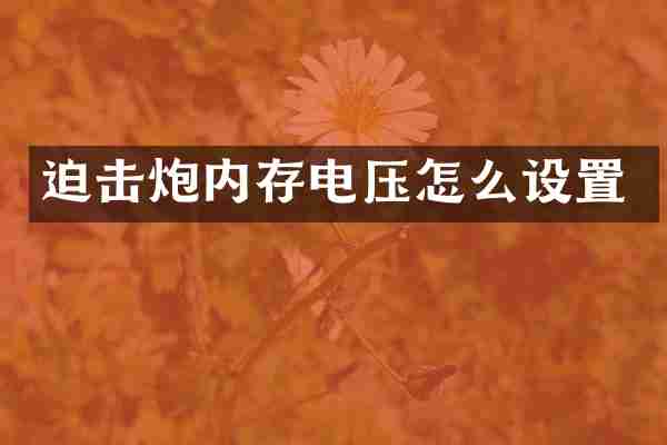 迫击炮内存电压怎么设置