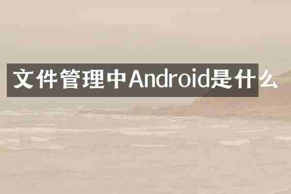 文件管理中Android是什么