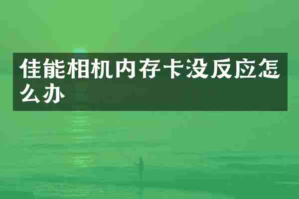 佳能相机内存卡没反应怎么办