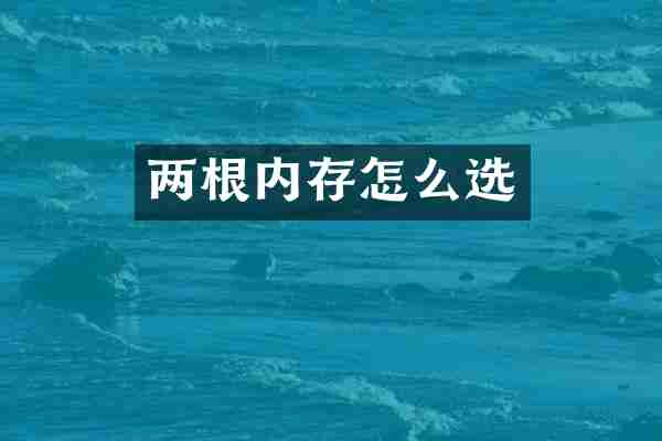 两根内存怎么选