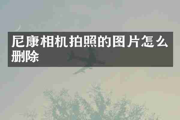 尼康相机拍照的图片怎么删除