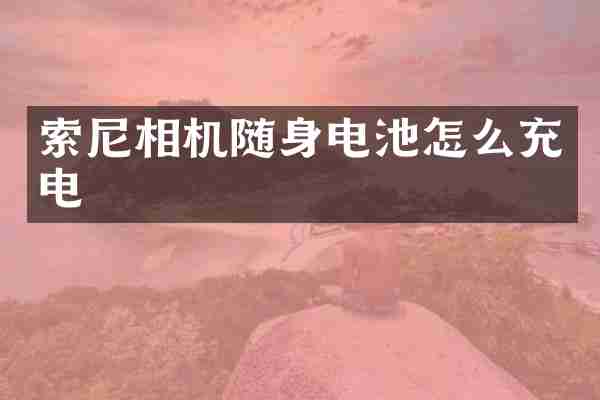 索尼相机随身电池怎么充电