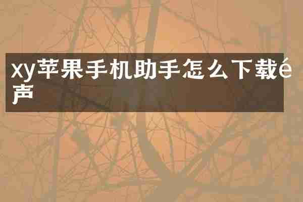 xy苹果手机助手怎么下载铃声