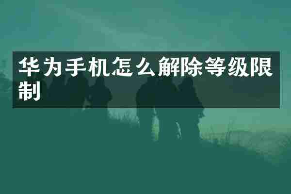 华为手机怎么解除等级限制