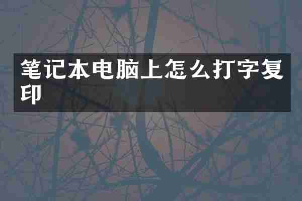 笔记本电脑上怎么打字复印
