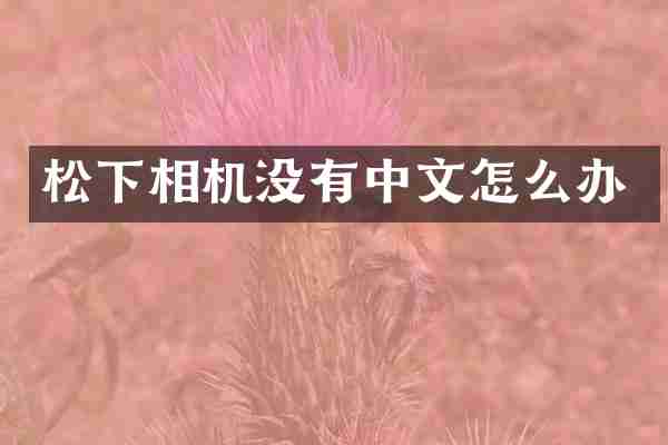 相机没有中文怎么办