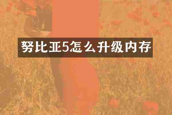 努比亚5怎么升级内存