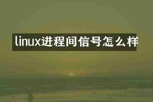 linux进程间信号怎么样