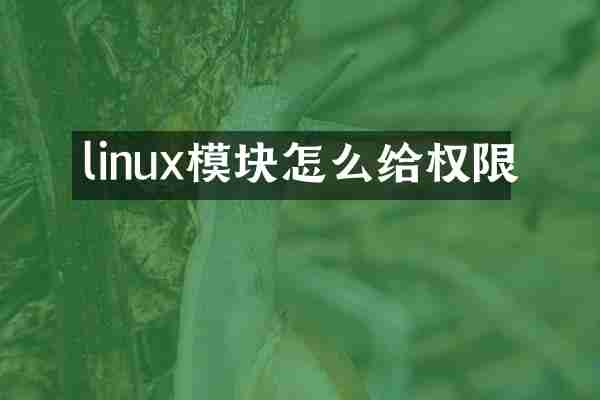 linux模块怎么给权限