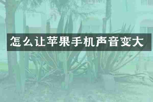 怎么让苹果手机声音变大