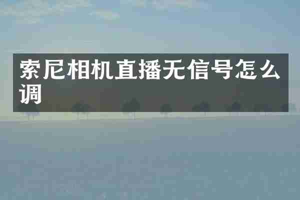 相机直播无信号怎么调