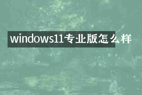 windows11专业版怎么样