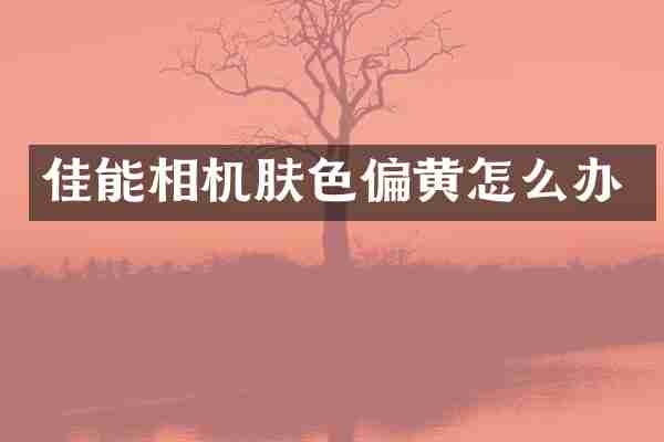 佳能相机肤色偏黄怎么办
