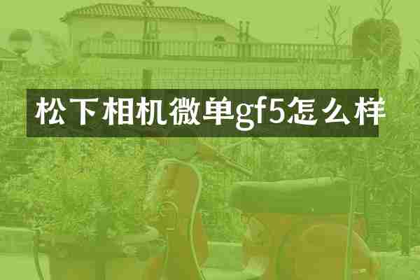 相机微单gf5怎么样