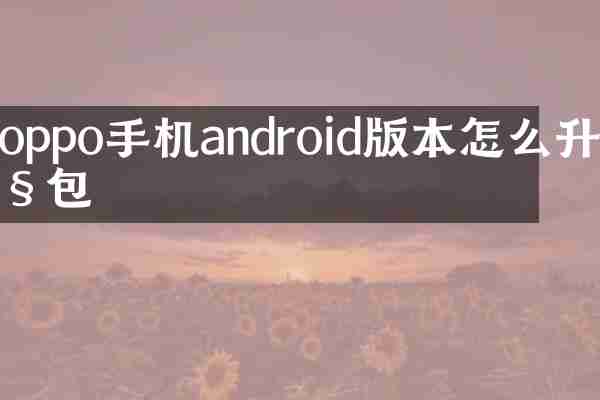 oppo手机androi本怎么升级包