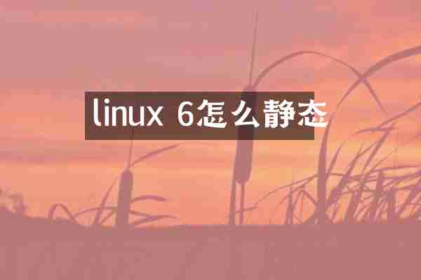 linux 6怎么静态
