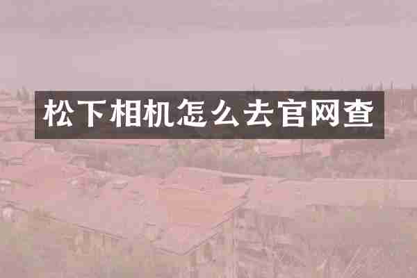 松下相机怎么去官网查