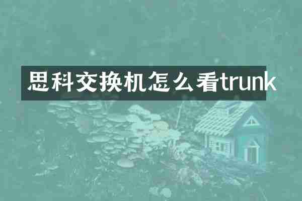 思科交换机怎么看trunk