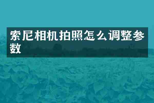 索尼相机拍照怎么调整参数