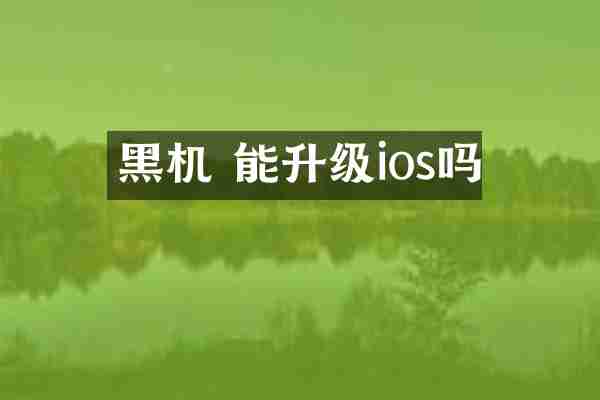 黑机 能升级ios吗
