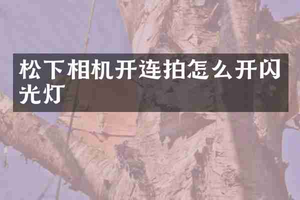 相机开连拍怎么开闪光灯
